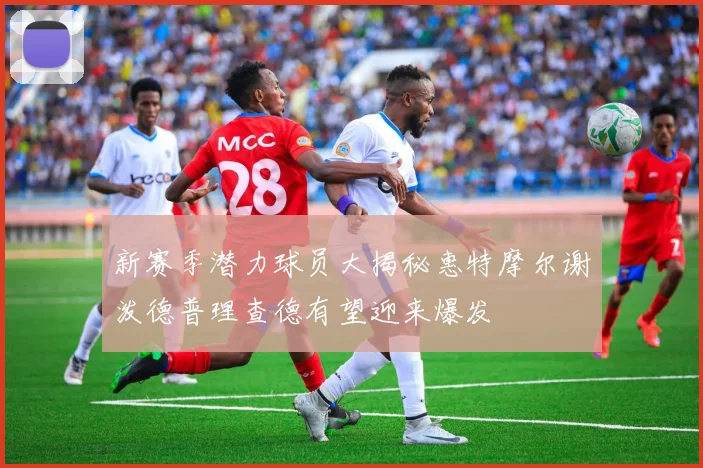 新赛季潜力球员大揭秘惠特摩尔谢泼德普理查德有望迎来爆发