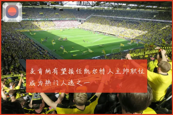 麦肯纳有望接任凯尔特人主帅职位成为热门人选之一