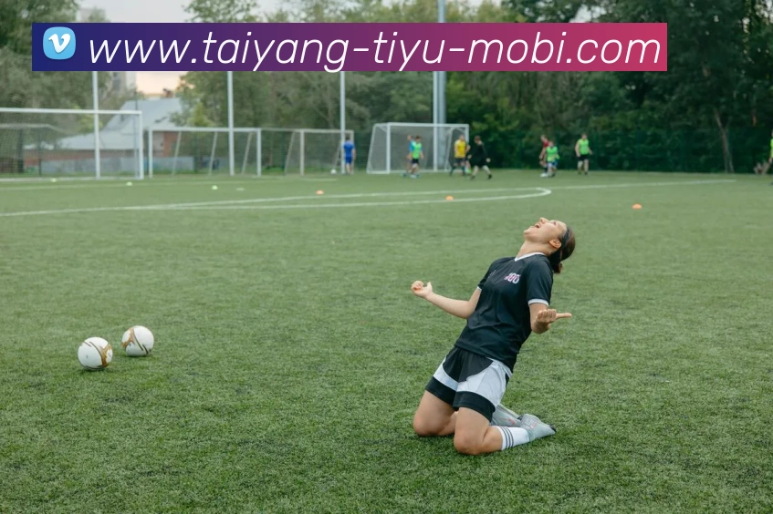 多媒体互动体验