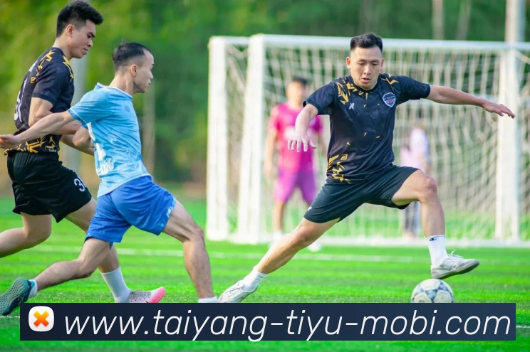 太阳城APP 高清赛事图